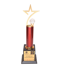 World Leadership Awards Micro Insurance Leader